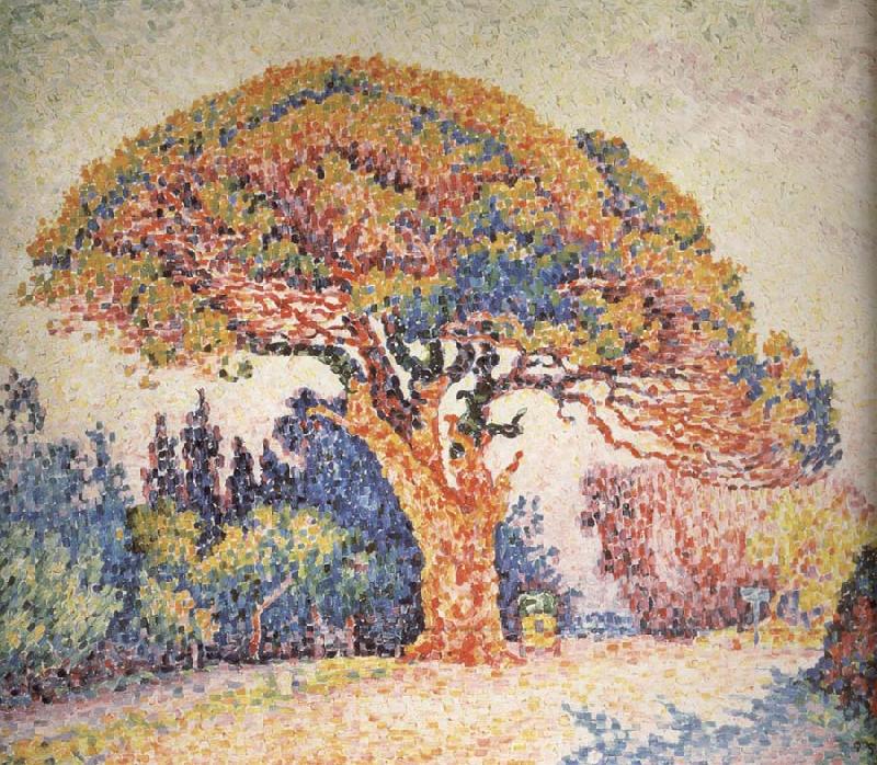 Paul Signac Pine